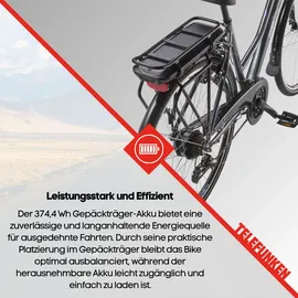 Telefunken Expedition XT480 28 Zoll RH 48 cm Damen grau