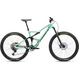 Orbea Occam M30-Eagle 29 Zoll RH 41 cm grün