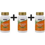 NOW Foods Astragalus-Extrakt 500 mg 90
