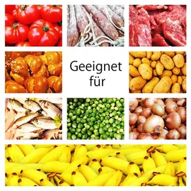 Petigi Allzweckkiste 2er Set 65 L/90 L Grün