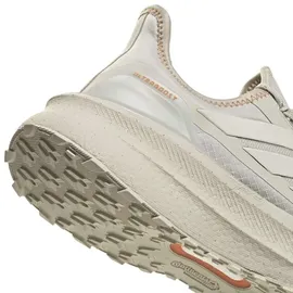 adidas Ultraboost 5 GTX Herren Beige/Alumina/Dusky Orange 42