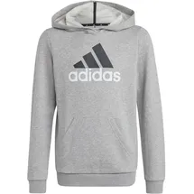 adidas Hoodie Two-Colored Grau 140