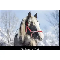 Vero Kalender Pferdetraum 2026 Fotokalender DIN A3 von Tobias