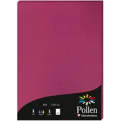 Pollen 10x Papier A4 Pollen 120g 50 Blatt - Himbeer 4206C