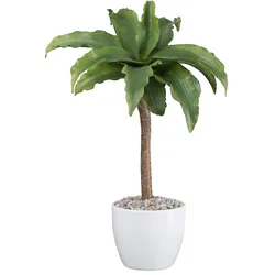 Creativ green Kunstpflanze »Agave Attenuata«, mit Kies Creativ green grün
