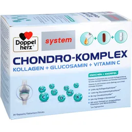 Queisser Doppelherz Chondro-Komplex 30 St