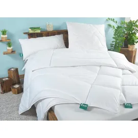 fan f.a.n. Sommer-Steppdecke 155x220 cm »Klima Active Plus« Bettdecke Decke