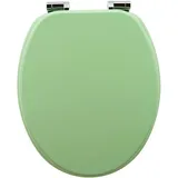 Sanfino WC Sitz Mint Green Toilettendeckel mit Absenkautomatik aus Holz