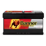 Banner Power Bull P9533