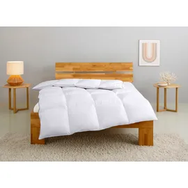 Home Affaire Daunenbettdecke HOME AFFAIRE "Tamins, Bettdecke 135x200 cm, 155x220 cm, Made in Germany", weiß, B:135cm L:200cm, Bezug: 100% Baumwolle. Füllung: 100% Daunen, Bettdecken, Sommer, Winter, Decke, Made in Germany, Allergiker geeignet (NOMITE)