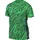 Nike Gardien V Dri-Fit Herren T-Shirt, grün - US: M