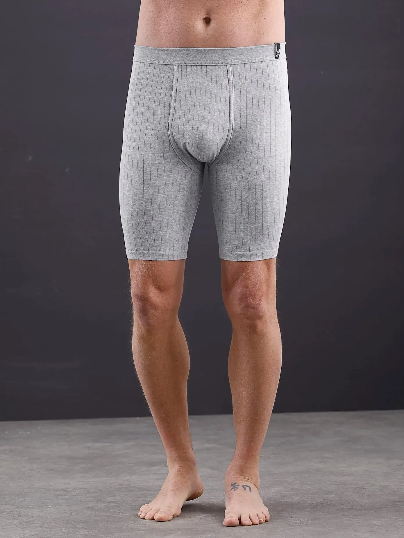 Lange Unterhose WÄSCHEPUR, Herren, Gr. 6, 3 Stk., grau (grau, meliert), 60% Baumwolle, 35% Polyester, 5% Elasthan, Unterhosen Lange Unterhose