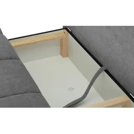 bobb Einzelsofa Isalie de Luxe ¦ grau ¦ Maße (cm): B: 206 H: 92 T: 105.0