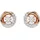 Swarovski Ohrstecker Dextera Roségold 5692258
