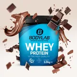 Whey Protein - 1000g - Triple Chocolate