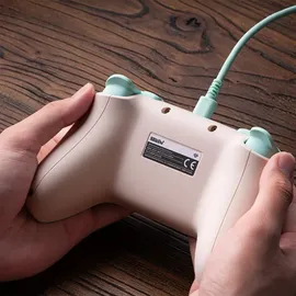 8bitdo Ultimate 2C Controller Mint/Orange für PC