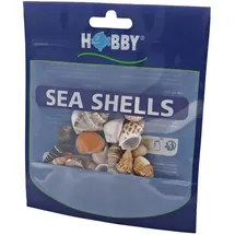 Hobby Aquaristik Hobby Sea Shells Set S 20