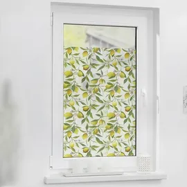 Lichtblick Fensterfolie Polyvinylchlorid (PVC), Format: 50 x 100 cm