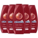 Schauma Schwarzkopf Farbschutz-Shampoo Color Glanz (5x 400 ml), Haarshampoo pflegt coloriertes, getöntes oder gesträhntes Haar, Color Shampoo mit Granatapfel-Extrakt