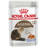 Royal Canin Ageing +12 in Gelee 48 x 85 g