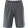 Schneider Sportswear Schneider Frisco Herren Shorts, grau - 54