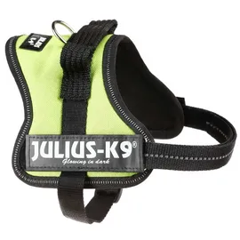 Julius-K9 K9 Powergeschirr, Größe: M/0, Kiwi