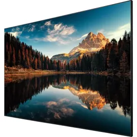 WS-Spalluto WS GR CLR Frame Rahmenleinwand 16:9, 221x125 cm, 0.4 Gain