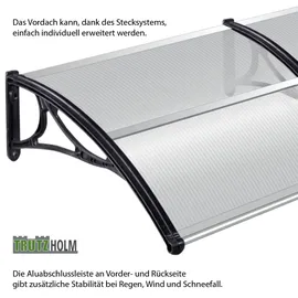 Trutzholm Vordach Pultvordach 97 x 295 cm schwarz