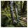 RockShox ZEB 27,5 Zoll 38 mm 2023 Grau