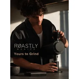 roastly DF83V Silber