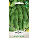 wegana Gurke Soplica F1 4g, Gemüsesamen - WegAna