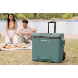 Igloo IE42 42 l