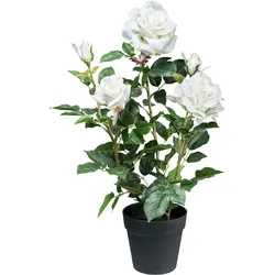 Kunstblume CREATIV GREEN "Rosenbusch", weiß, H:58cm, Kunstpflanzen, mit 3 Blüten und 2 Knospen
