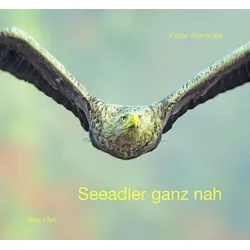 Seeadler ganz nah