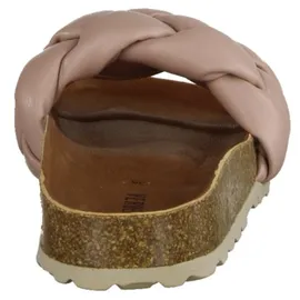 Verbenas Rai Roda rose 38