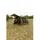 Fox International Fox Eos Social Xl 350x350x205cm - Angelzelt, Karpfenzelt, Zelt