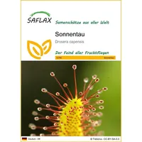 SAFLAX - Sonnentau - 200 Samen - Drosera capensis