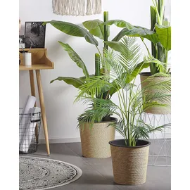 Beliani Kunstpflanze Areca Palm 124 cm Grün