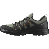 Salomon X Braze Gore-Tex Herren Wander Wasserdichte Schuhe, Hiking-Basics, Sportliches Design, Vielseitiger Einsatz, Deep Lichen Green, 42
