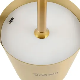 ideoon lights Elegante LED Wandleuchte (2er-Set) 44 hochwertige LEDs Gold