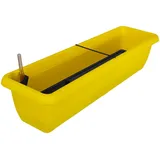 Pflanzen Kölle Aqua Andalucia 18 x 80 cm Gelb