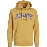 JACK & JONES JJEJOSH Sweat Hood NOOS