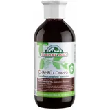 Corpore Henna Catechu Shampoo 300 ml
