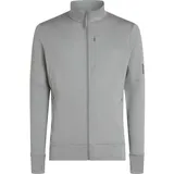 Icebreaker Merino 260 Quantum Herren Hoodie (Hellgrau L)