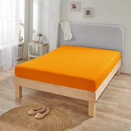 BettwarenShop Spannbettlaken Jersey-Elasthan 120 x 200 - 130 x 220 cm orange