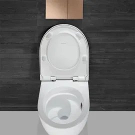 Geberit Acanto Wand-WC mit WC-Sitz Weiß KeraTect