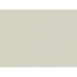 A.S. Création Vliestapete Greenery Uni strukturiert Beige FSC®