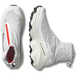 Salomon S/Lab Ultra Dust Herren Grau / Rot 46