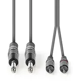 Nedis COTH23320GY30 - 2 x 6.35mm - Männlich - 2 x RCA - Männlich - 3 m - Grau