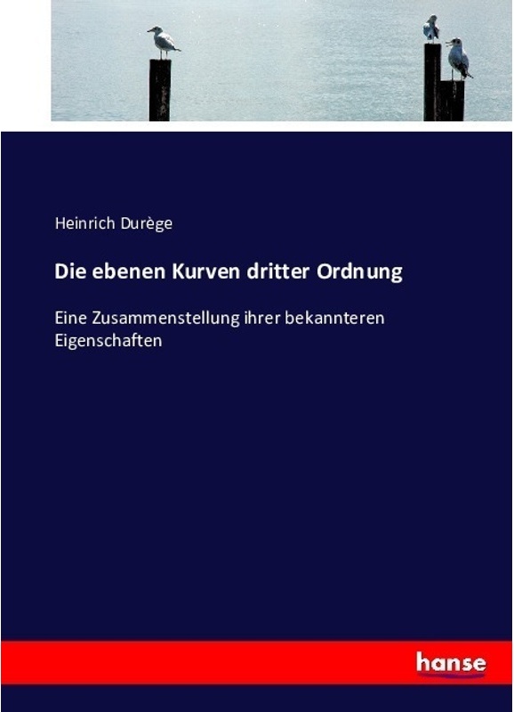 Die Ebenen Kurven Dritter Ordnung - Heinrich Durège, Kartoniert (TB)